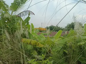 Near Play-Lot, 3 Katha Plot In Sec#28