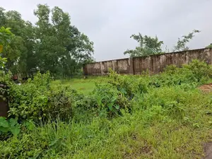 Near Lake, 10 Katha Plot In Sec#21