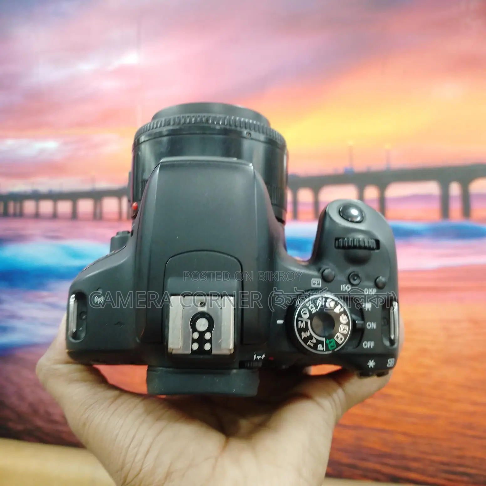 Canon 800D & yn50mm f1.8 lens