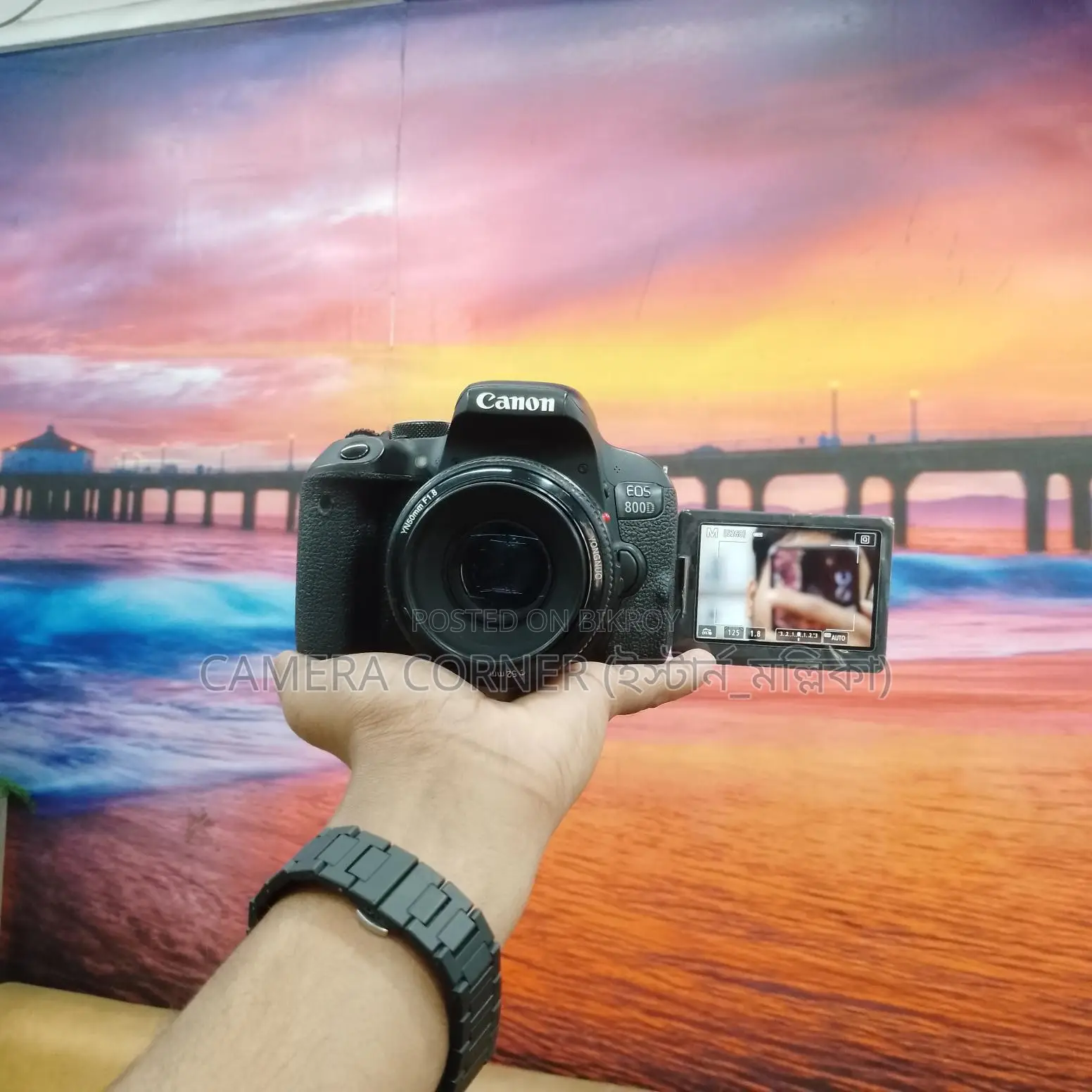 Canon 800D & yn50mm f1.8 lens
