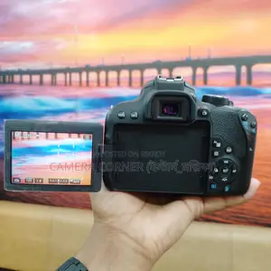 Canon 800D & yn50mm f1.8 lens