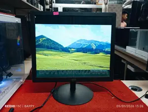 Affordable Quality Chinese Monitor with Marks.