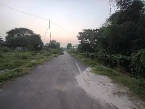 Near 300ft Road: 5 Katha Plot in Sector 11