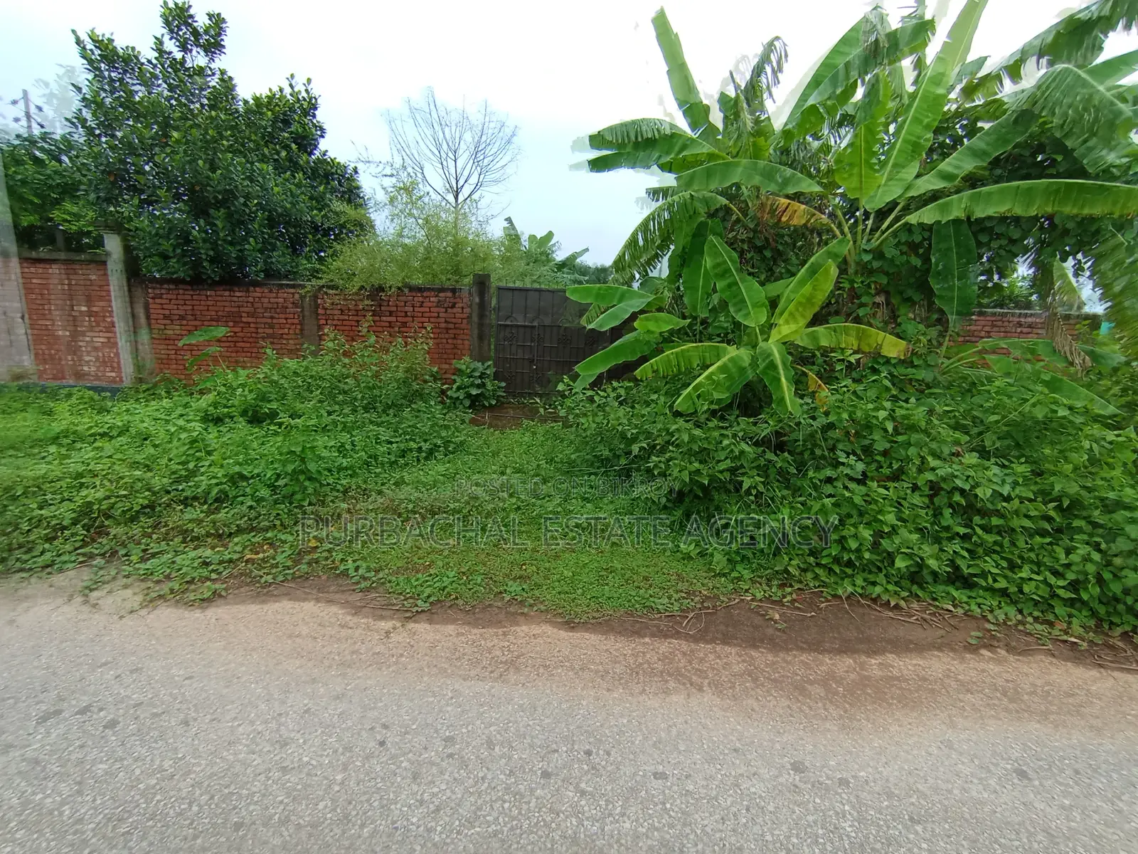 South Facing, Semi Corner, 5 Katha Plot In Sec#8