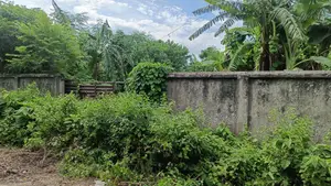 ১০০ ফুটের কাছে, দক্ষিণমুখী, সেক্টর ১০-এ ৫ কাঠার প্লট