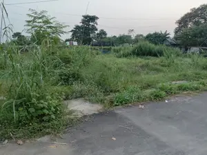 সেক্টর ২৬-এ ৭৫ ফুট রোডে, দক্ষিণমুখী ৩ কাঠার প্লট