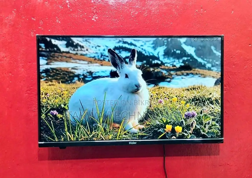 Haier-32" Google Satisfied Frameless Voice Control 4K Support TV
