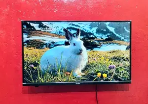 Haier-32" Google Satisfied Frameless Voice Control 4K Support TV
