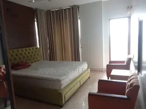 ৪ বেড লাক্সারি ফুল ফার্নিশড অ্যাপার্টমেন্ট ভাড়া গুলশান-২