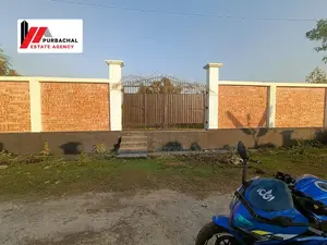 ৭৫ ফুট রাস্তার কাছে, সেক্টর ২০-এ ৫ কাঠার প্লট