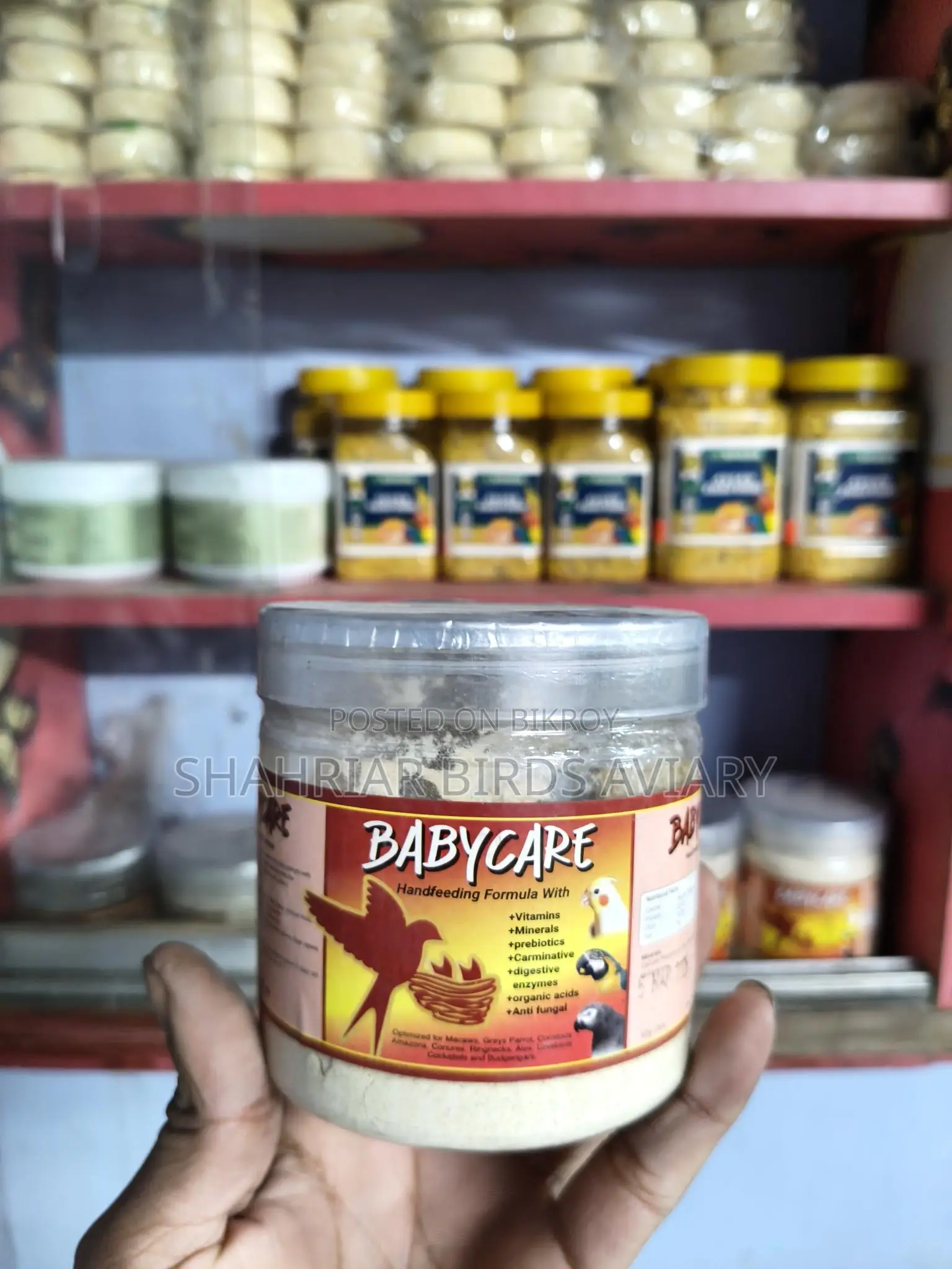 Hand-feed for Birds