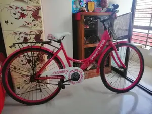 26-inch Girls' Bicycle