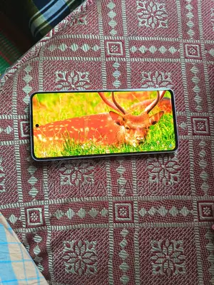 OPPO Reno 13F (Used)