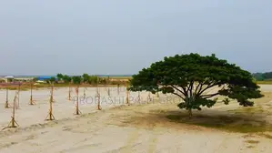 প্রবাসী পল্লীর পূর্বাচল প্রজেক্টে এ এককালীল মূল্যে প্লট বিক্রয় চলছে।