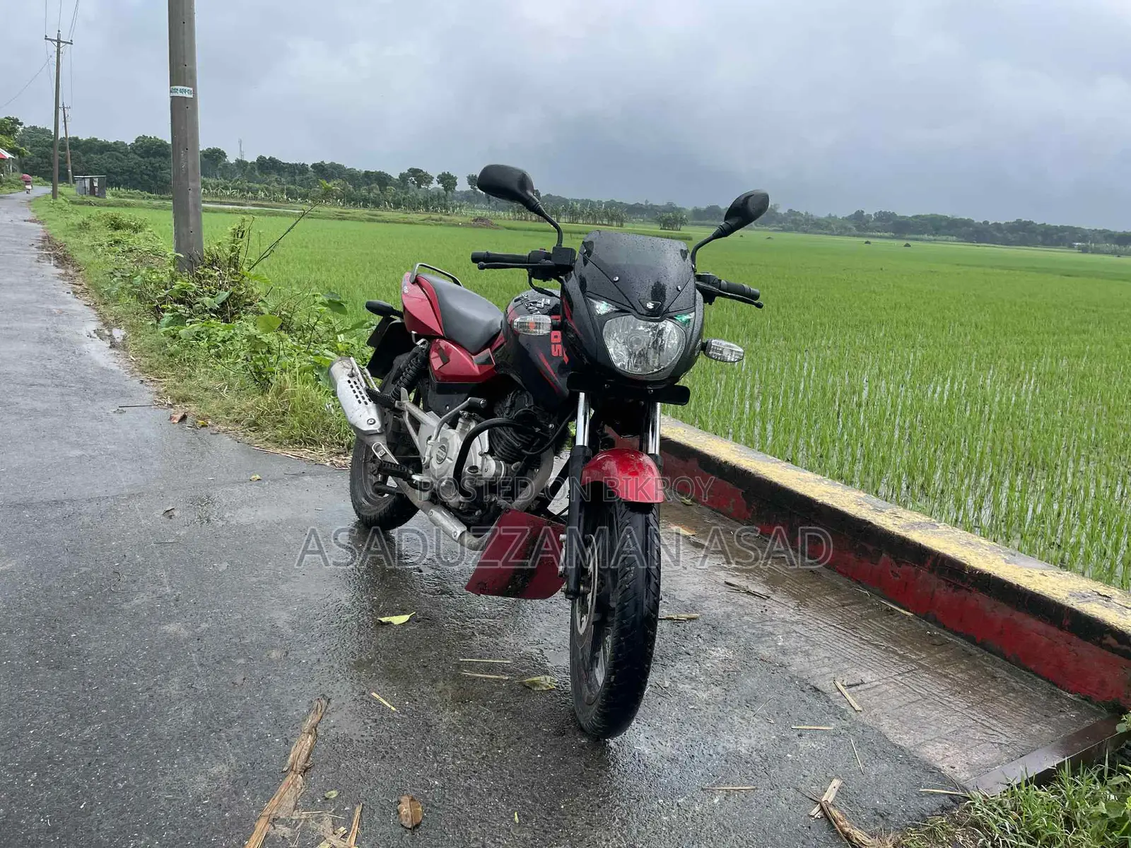 Bajaj Pulsar 150 Red Black Edition 2017