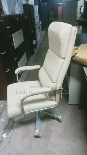Executive Chair with Dual Mechanism
