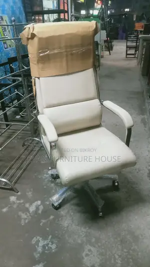 Executive Chair with Dual Mechanism