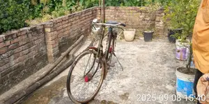 Bicycle for Sale