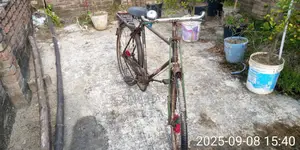 Bicycle for Sale
