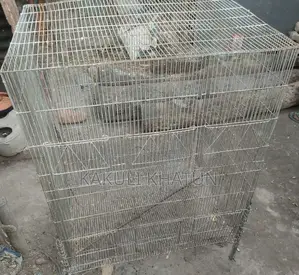পাখির খাঁচা
