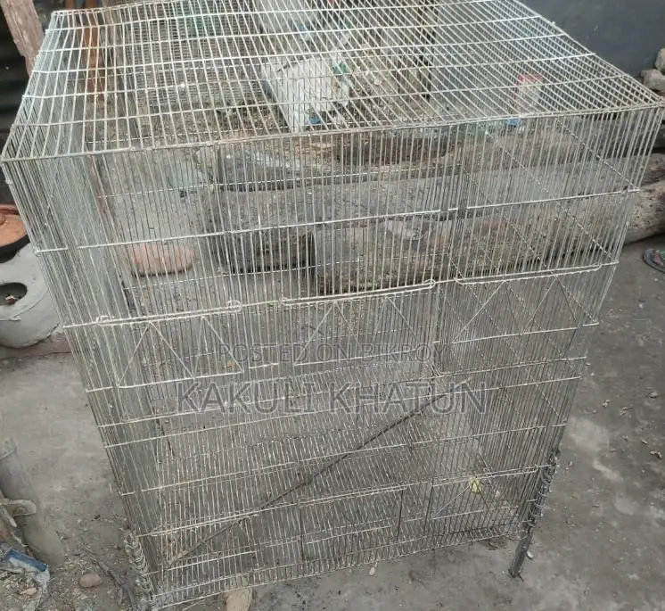 পাখির খাঁচা