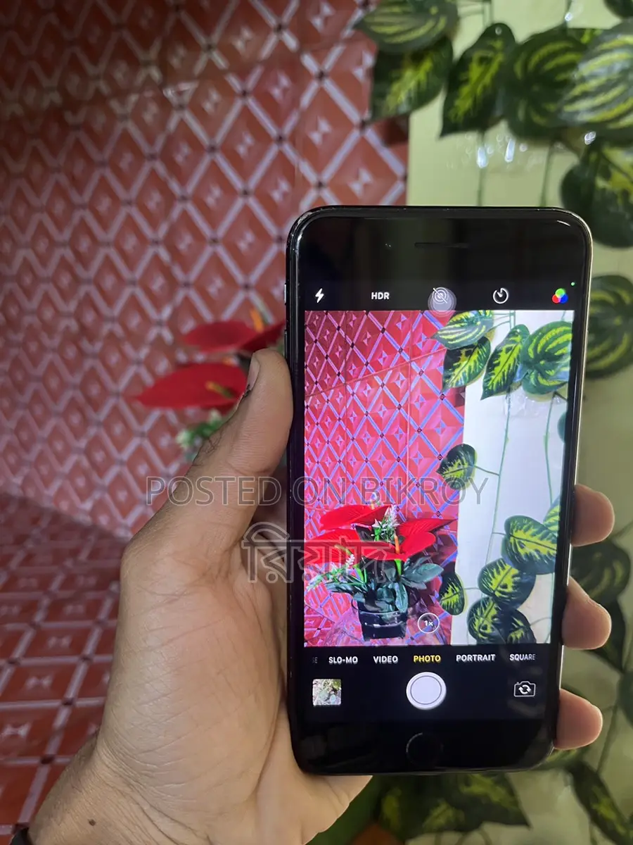 Apple iPhone 7 Plus 2022 (Used)