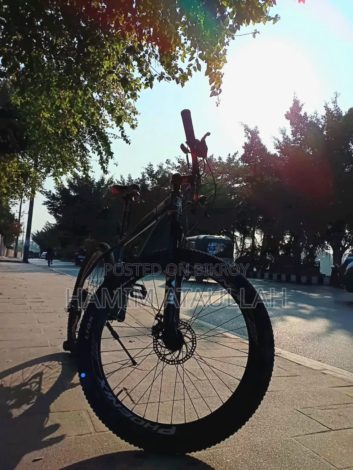 Phoenix X Machine 26 Inch
