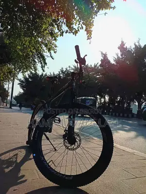 Phoenix X Machine 26 Inch