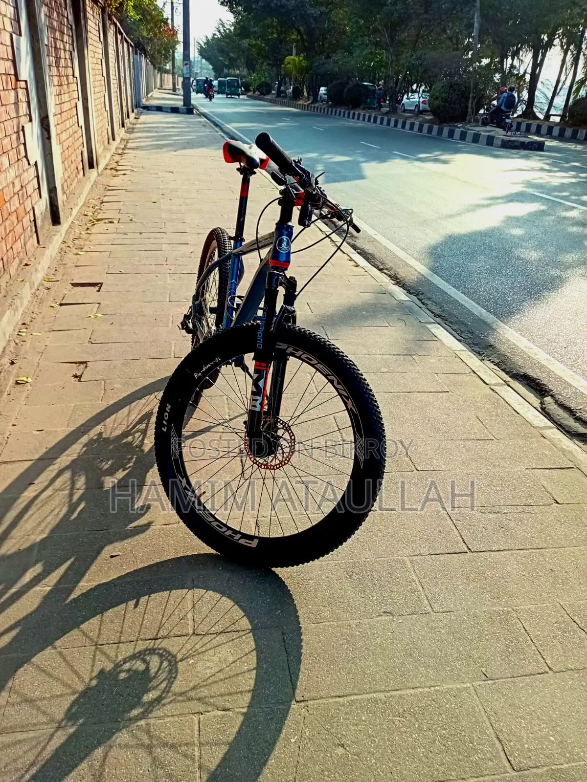 Phoenix X Machine 26 Inch