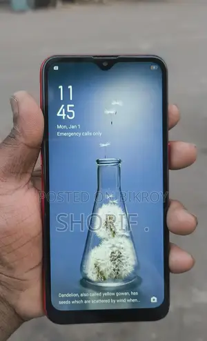 OPPO A1k (Used)