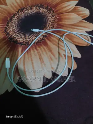 Original Type C To Lightning Cable