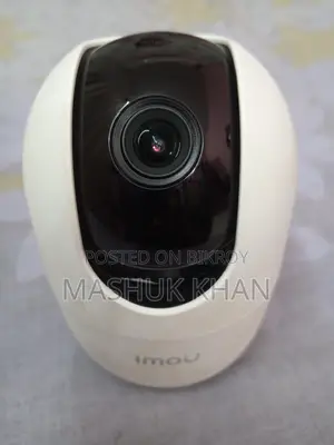 Surveillance Cameras