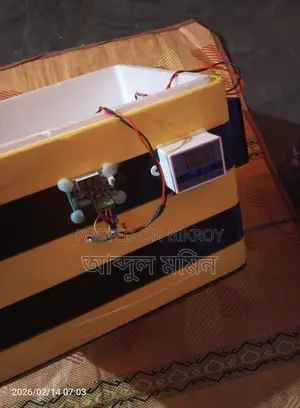 Egg Incubator for Sale