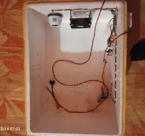 Egg Incubator for Sale