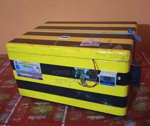 Egg Incubator for Sale