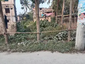 কন্যার প্লট এখানে দোকান করা যাবে