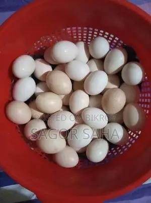 Original Deshi Chicken Eggs
