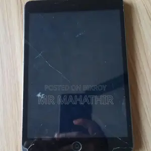 iPad Mini 2
