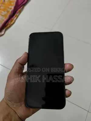 Apple iPhone 12 Pro Max (Used)