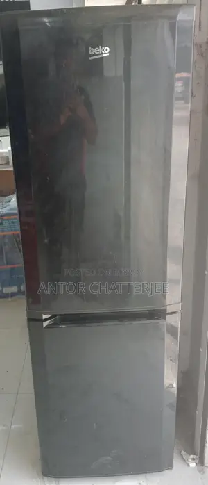Beko Singer Refregretor