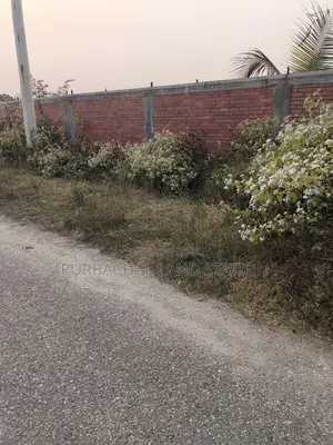 Sector: 17, South face 75 ft road, 3 katha plot for sale in Purbachal.