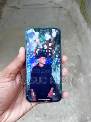 Apple iPhone 12 (Used)