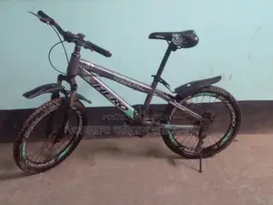 Bicycle is in perfect condition, only used for 2 years