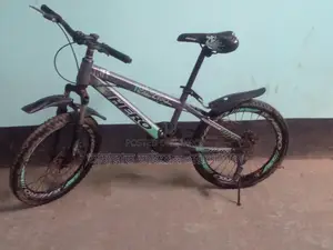 Bicycle is in perfect condition, only used for 2 years
