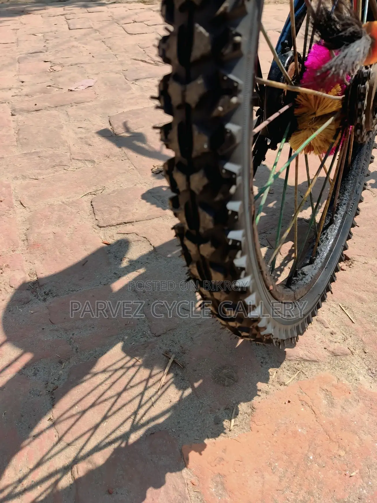 20" Kids Bicycle | Fully Serviced with New Rear Tire