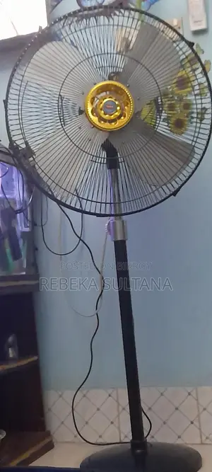 Stand Fan