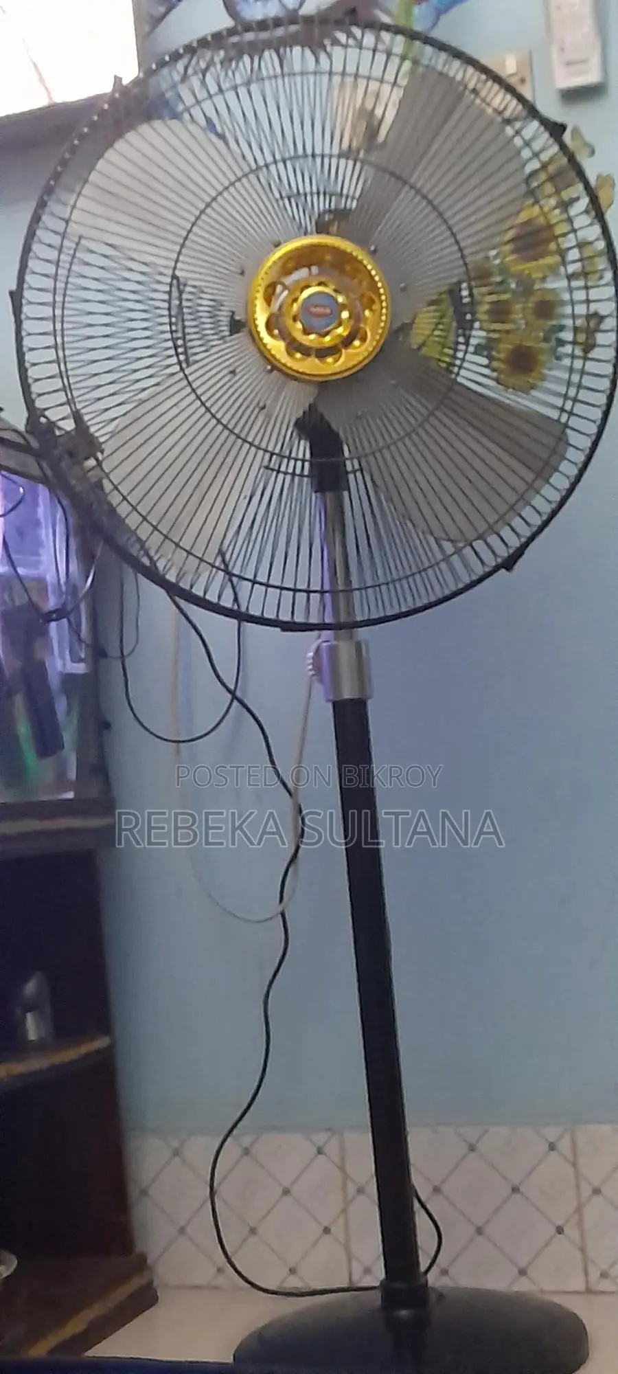 Stand Fan