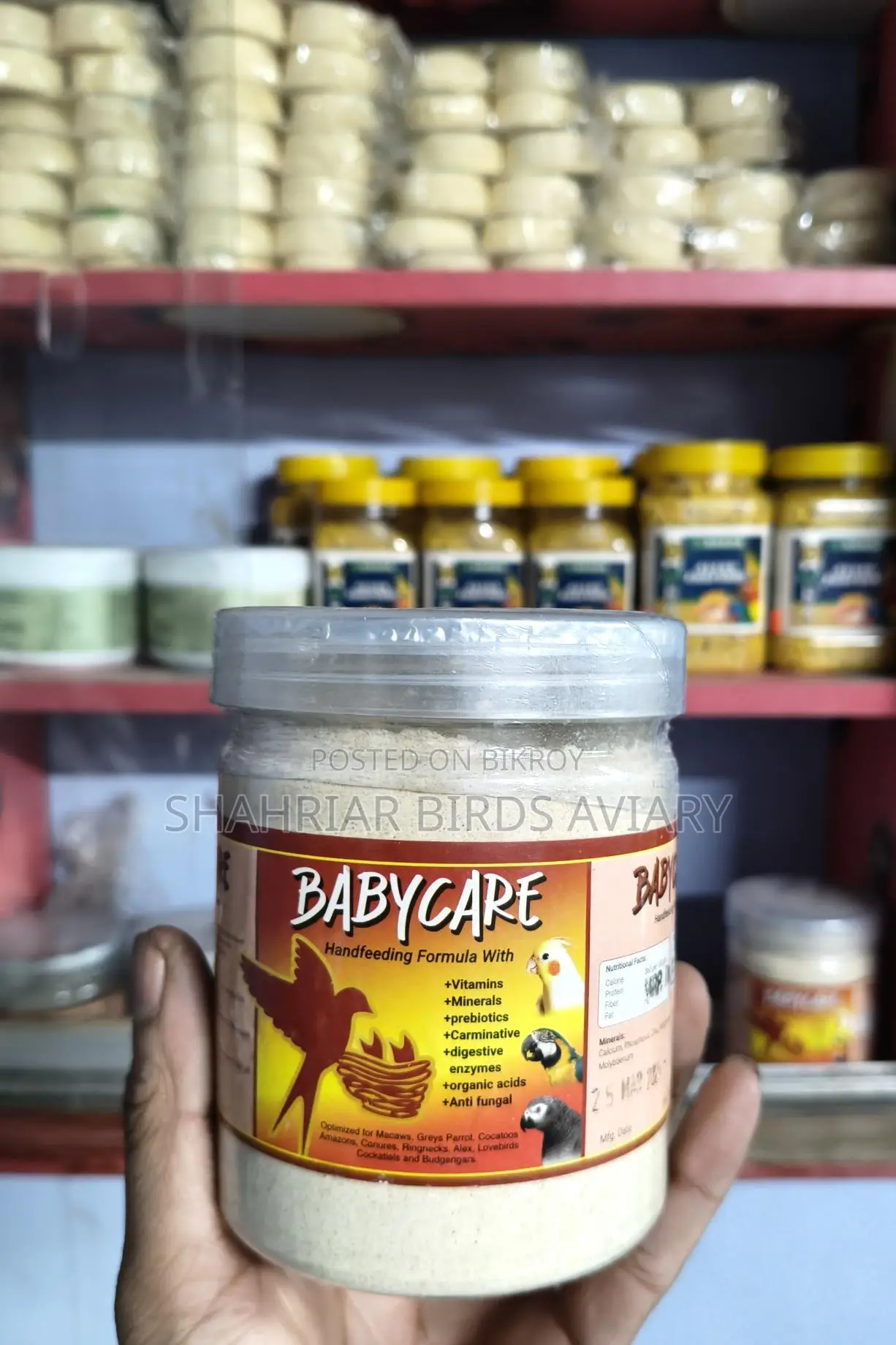 Hand-feed for Birds