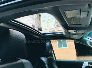 Prado For Rent