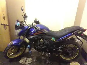 Runner KnightRider 2019